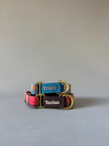 2.5cm幅 タータン・グレンチェックマーチンゲールカラー